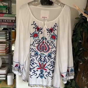 Absolutely adorable Johnny Was embroidered tunic top, Sz. 3X